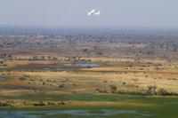 A plane flies over Okavango Delta - seen on a Botswana Safari